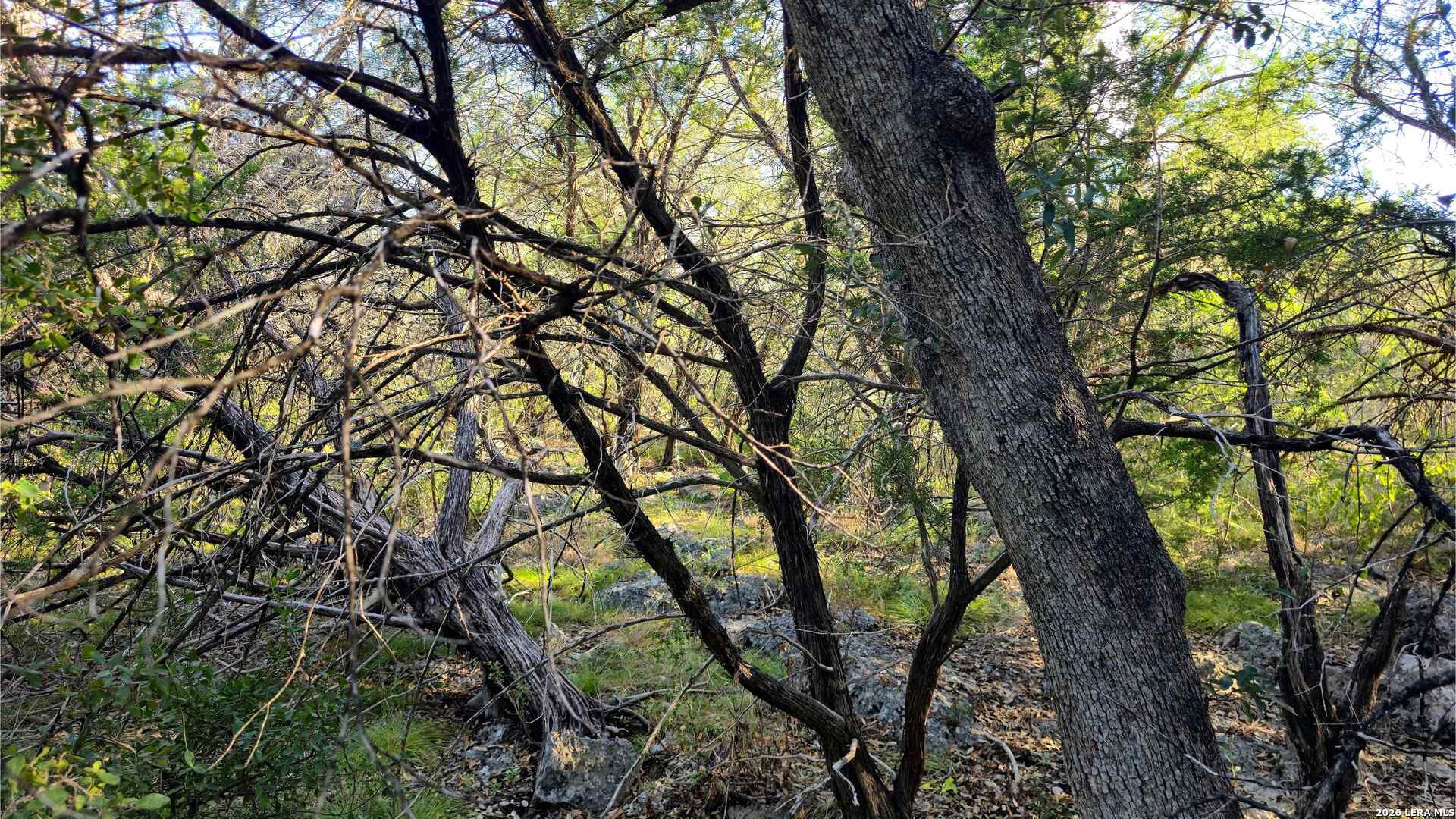main property photo 26