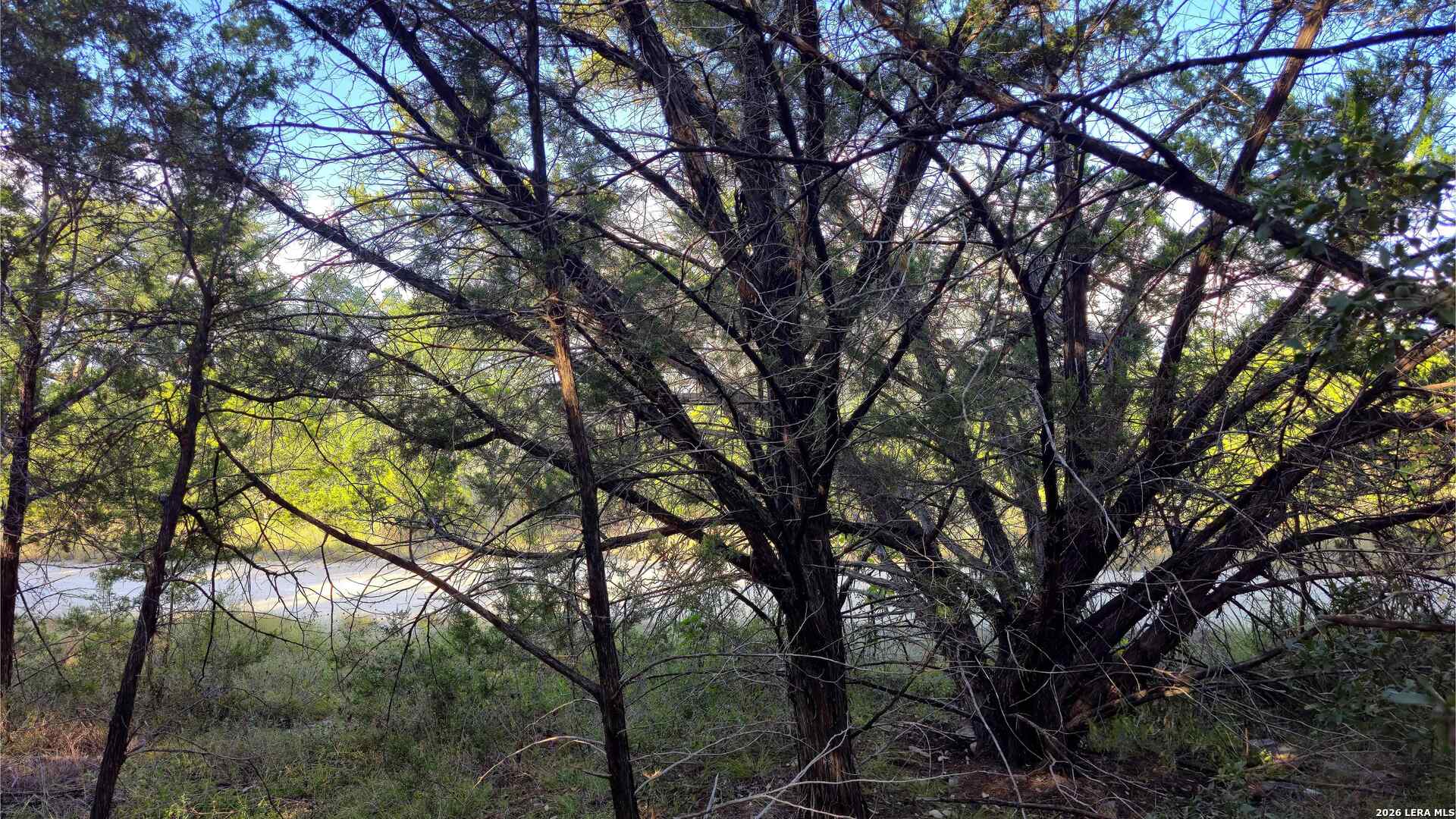 main property photo 28