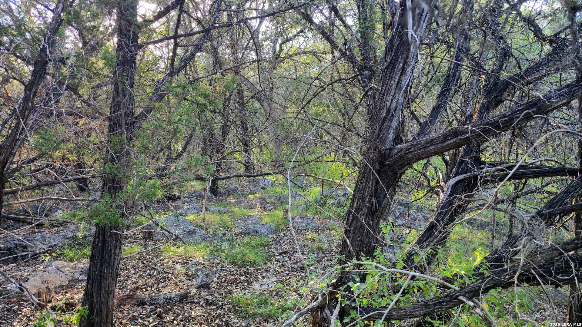 main property photo 30