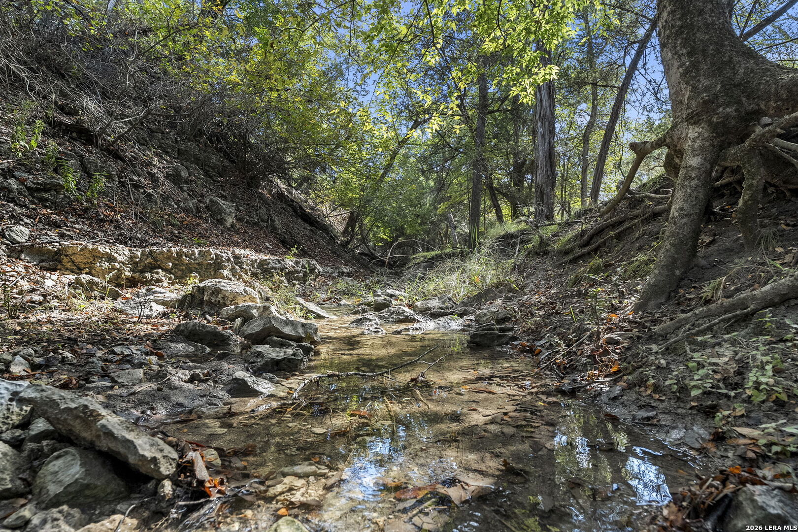 main property photo 57