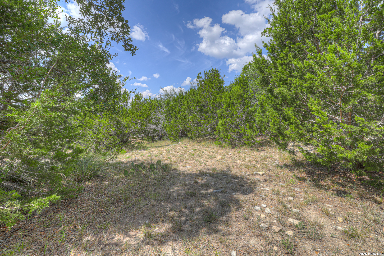main property photo 59