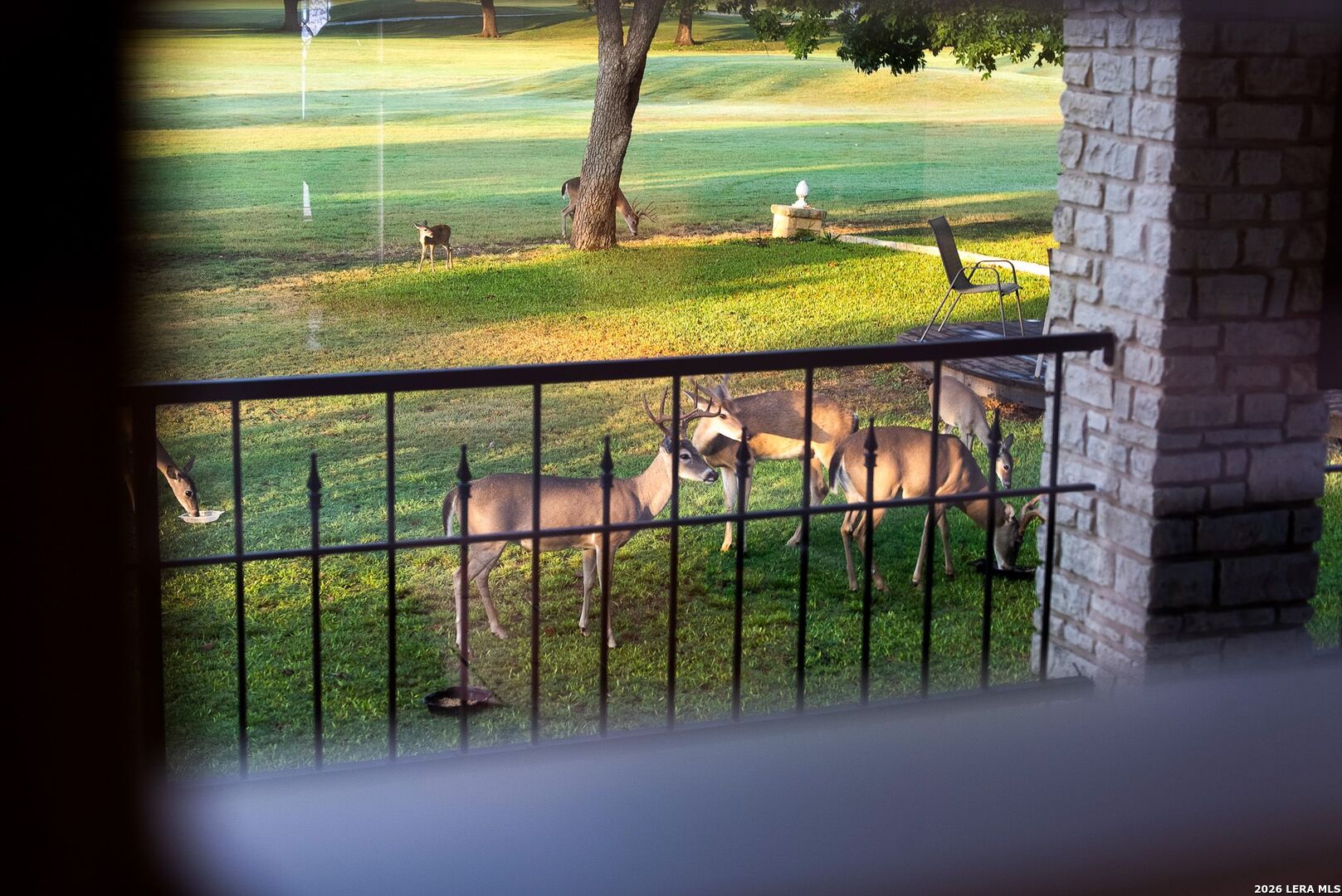 main property photo 50