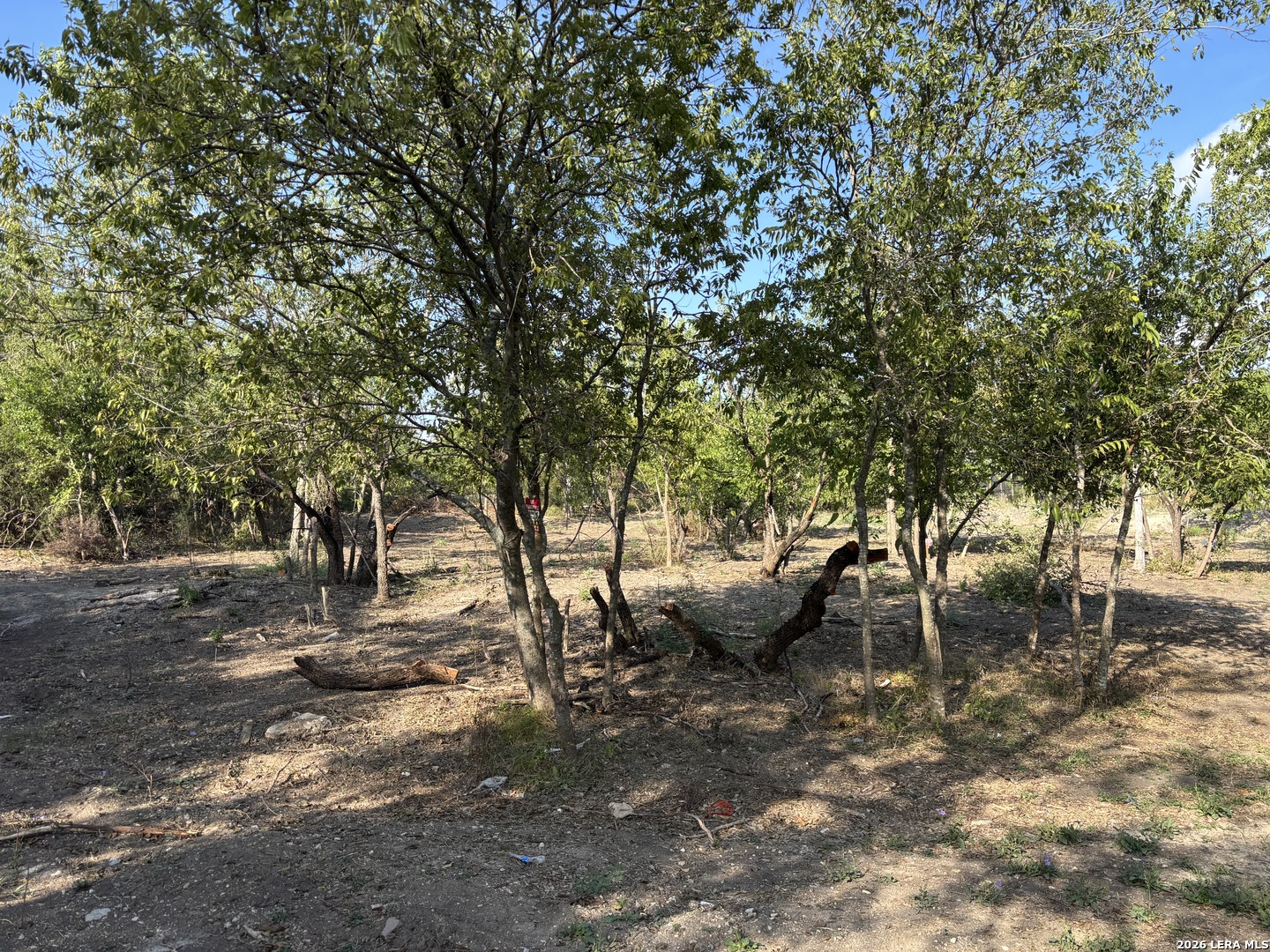 main property photo 14