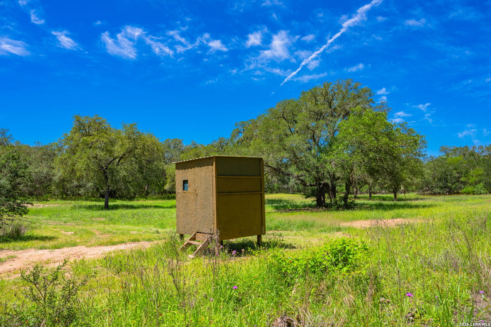 main property photo 36