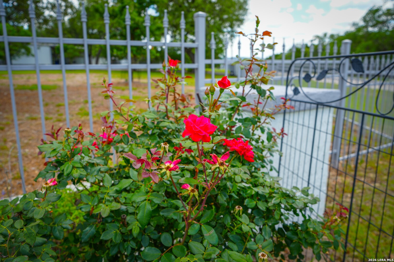 main property photo 51