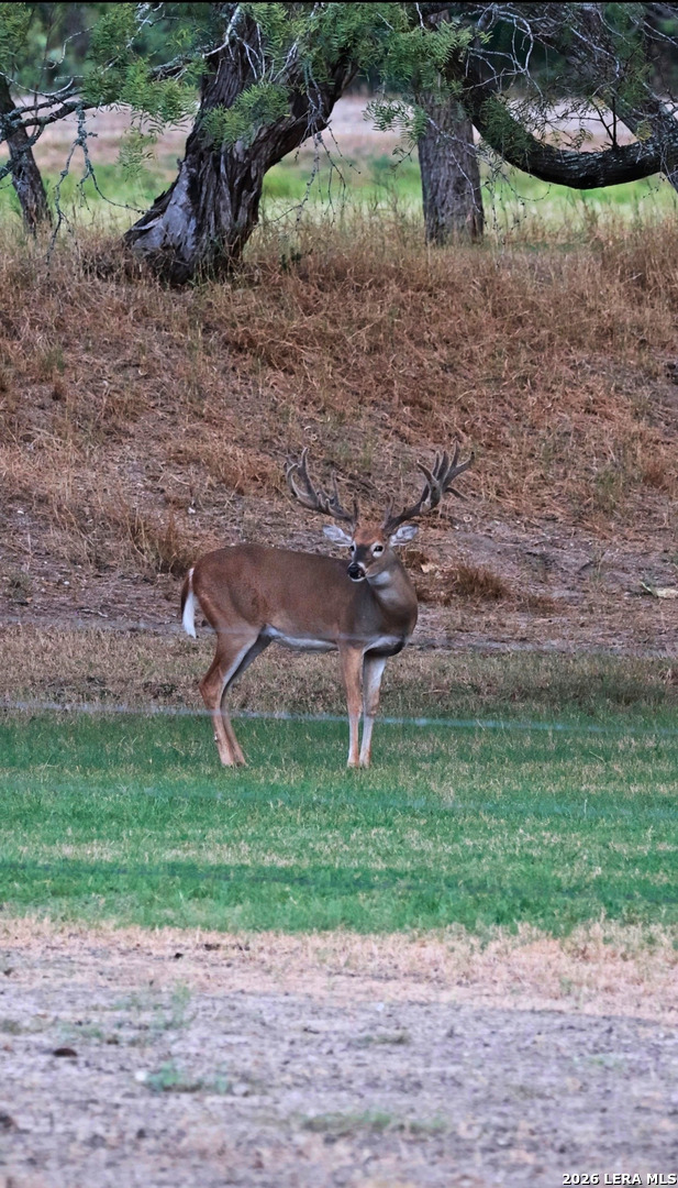 main property photo 9