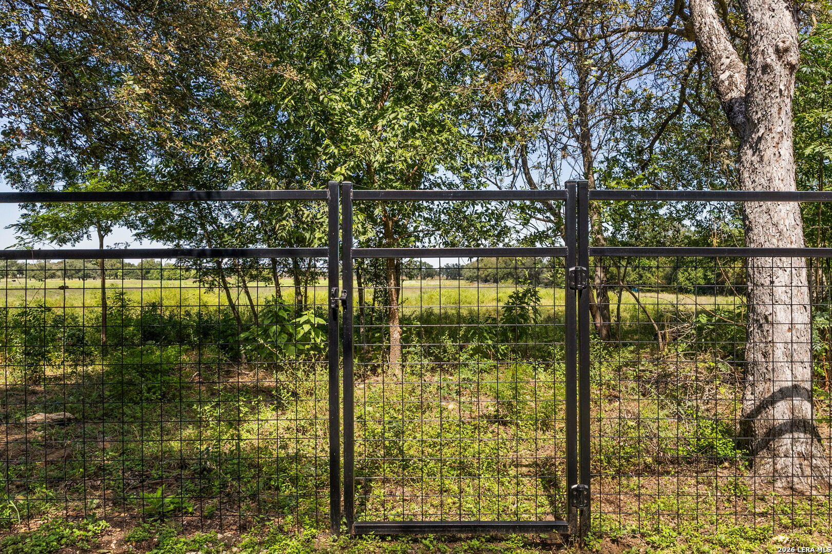 main property photo 28