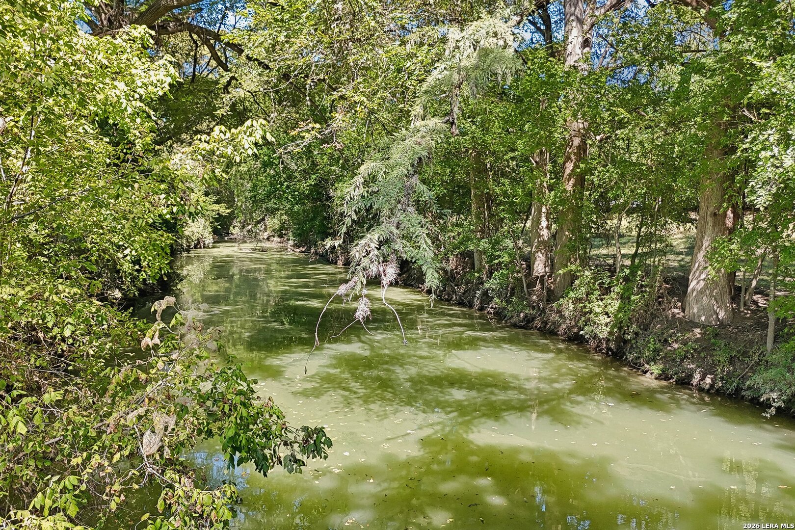 main property photo 52