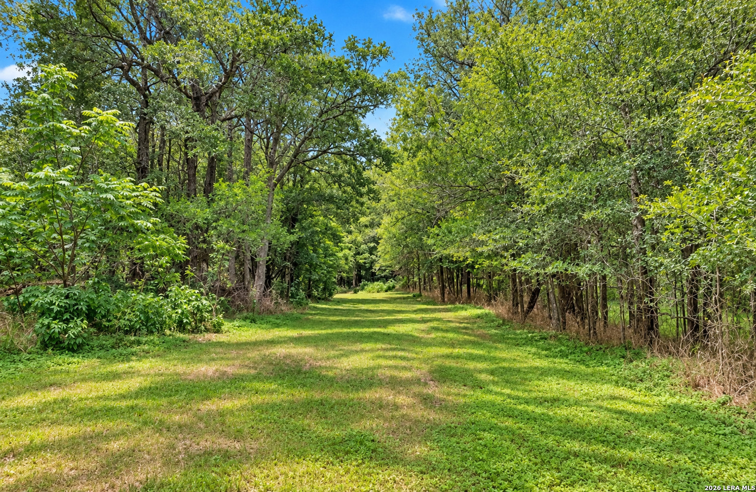 main property photo 27