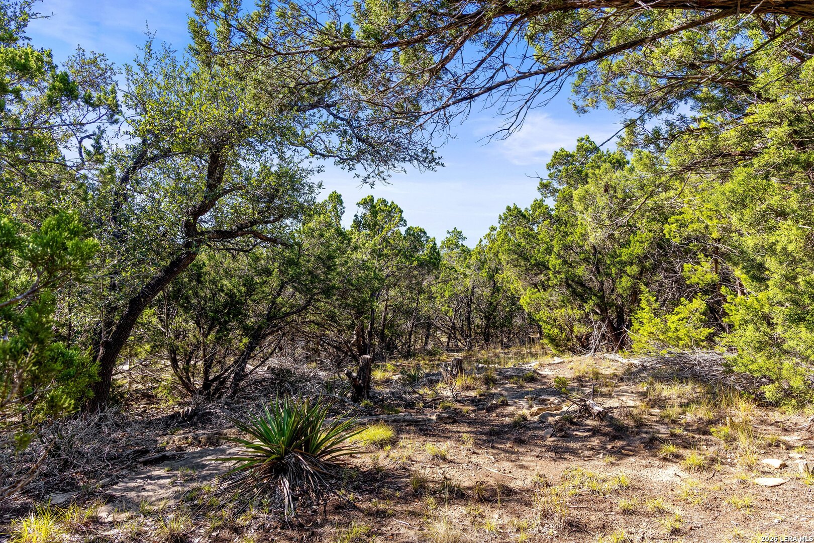 main property photo 11