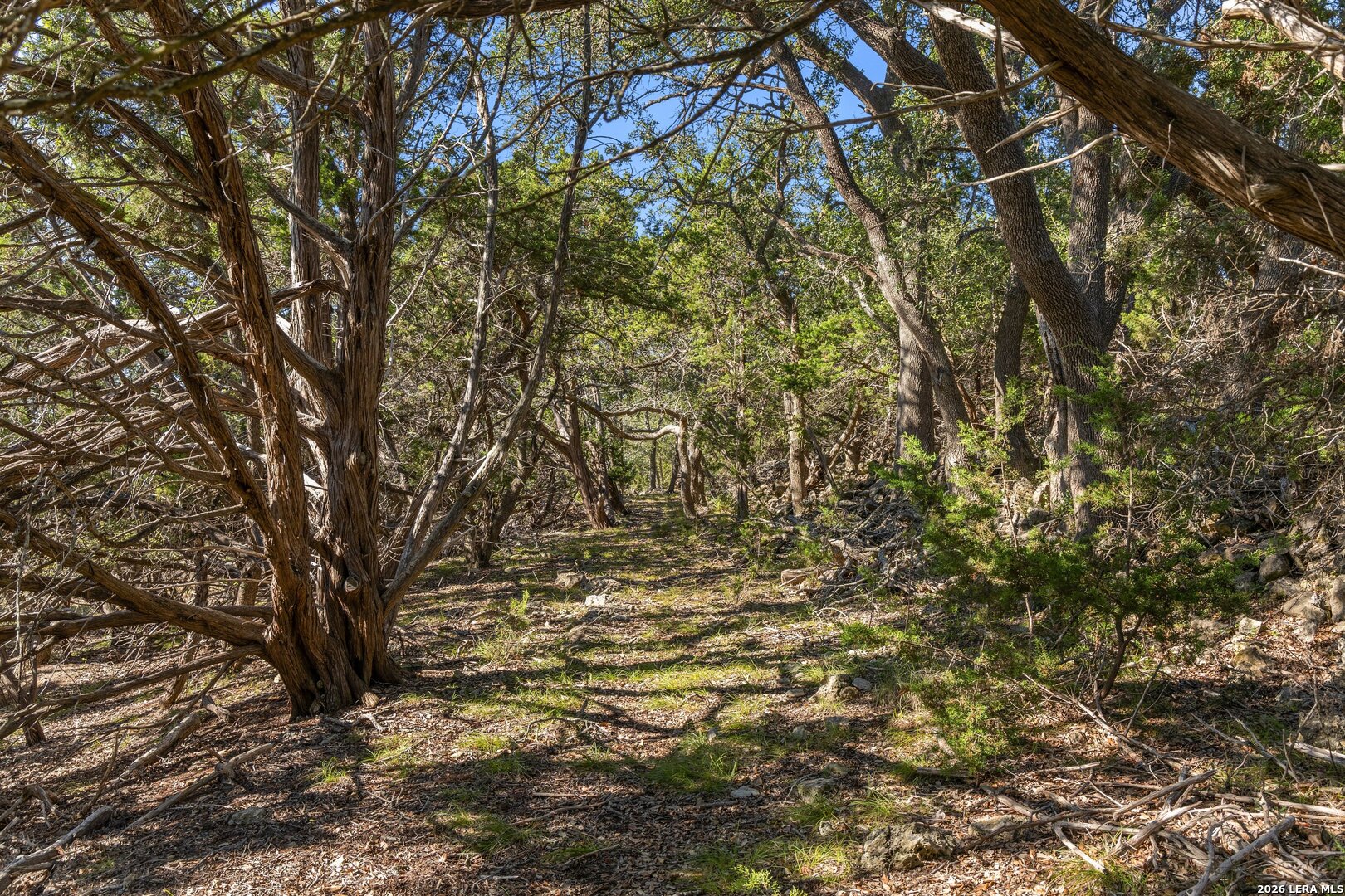 main property photo 31