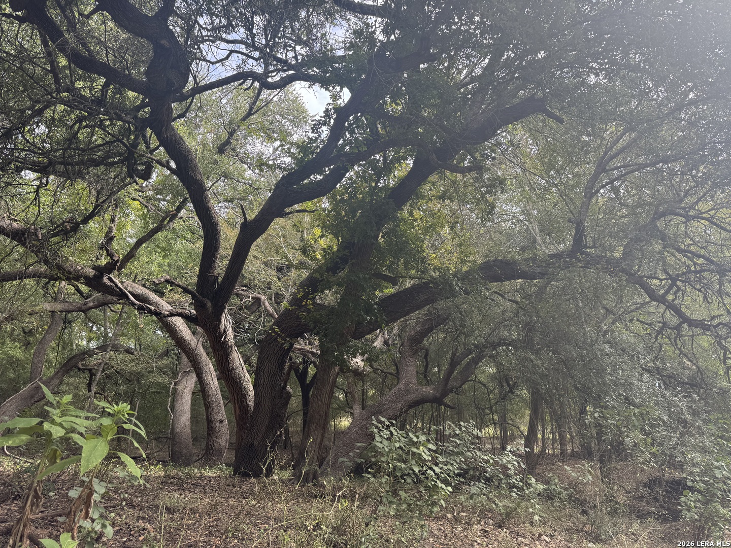 main property photo 24