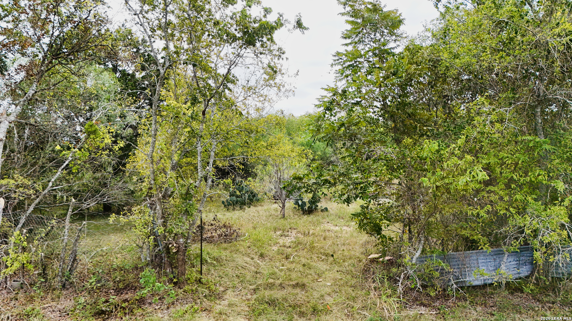 main property photo 18