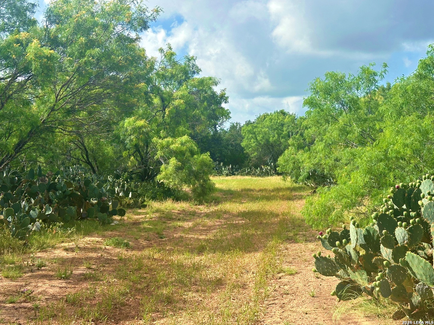 main property photo 36