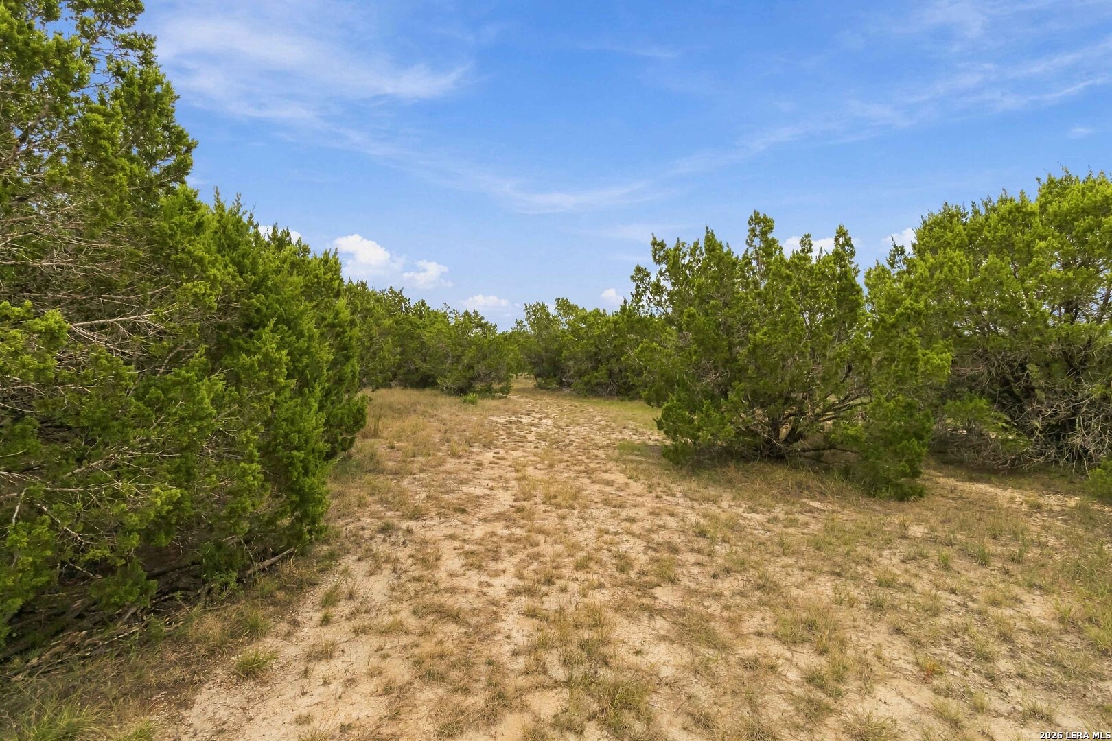 main property photo 57