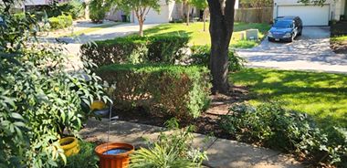 image of property with 3 Bed | 2 Bath | 1,614 Sqft