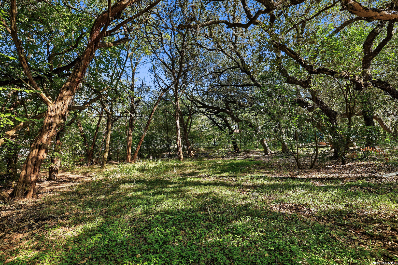 main property photo 53