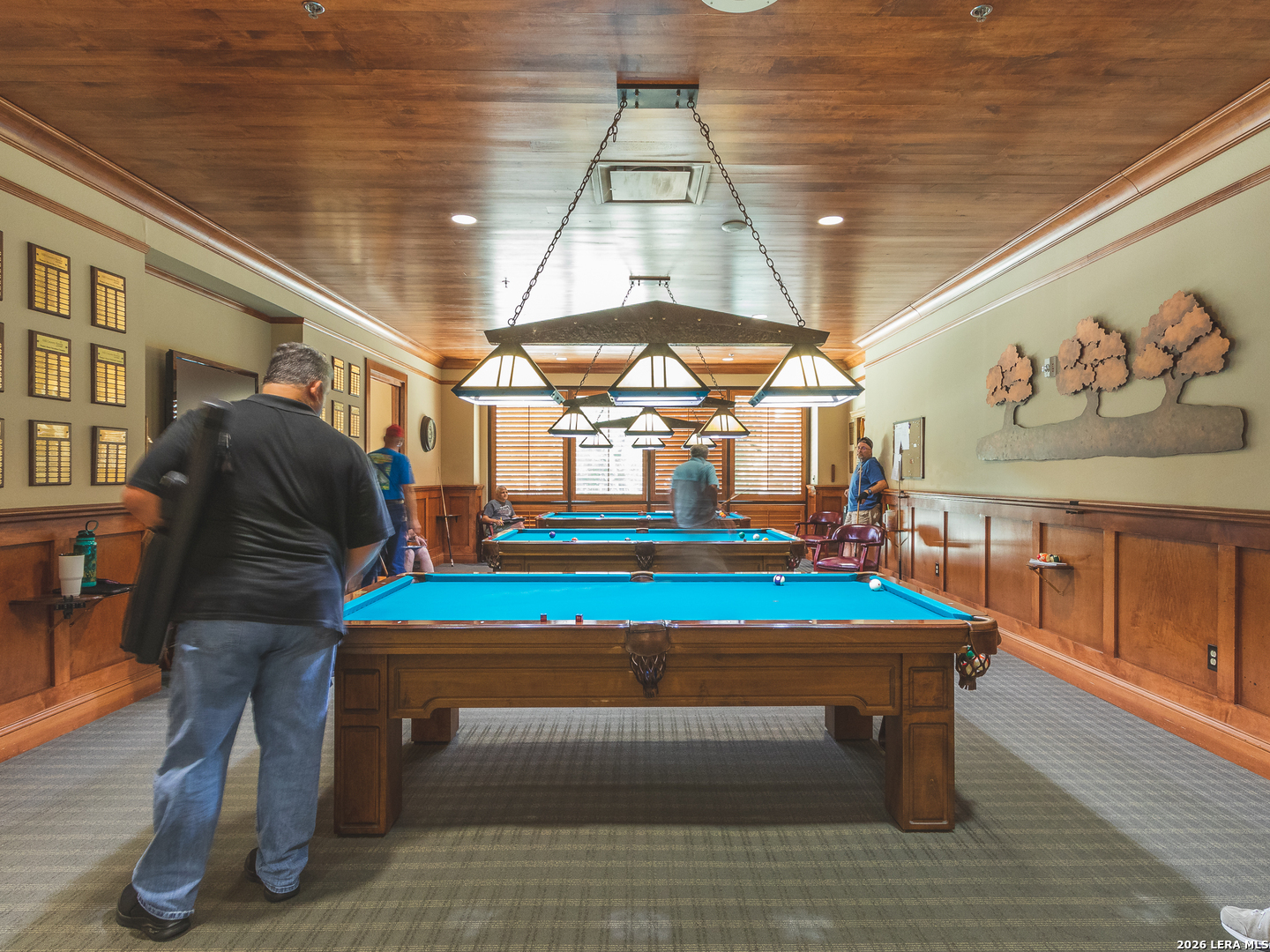 main property photo 61