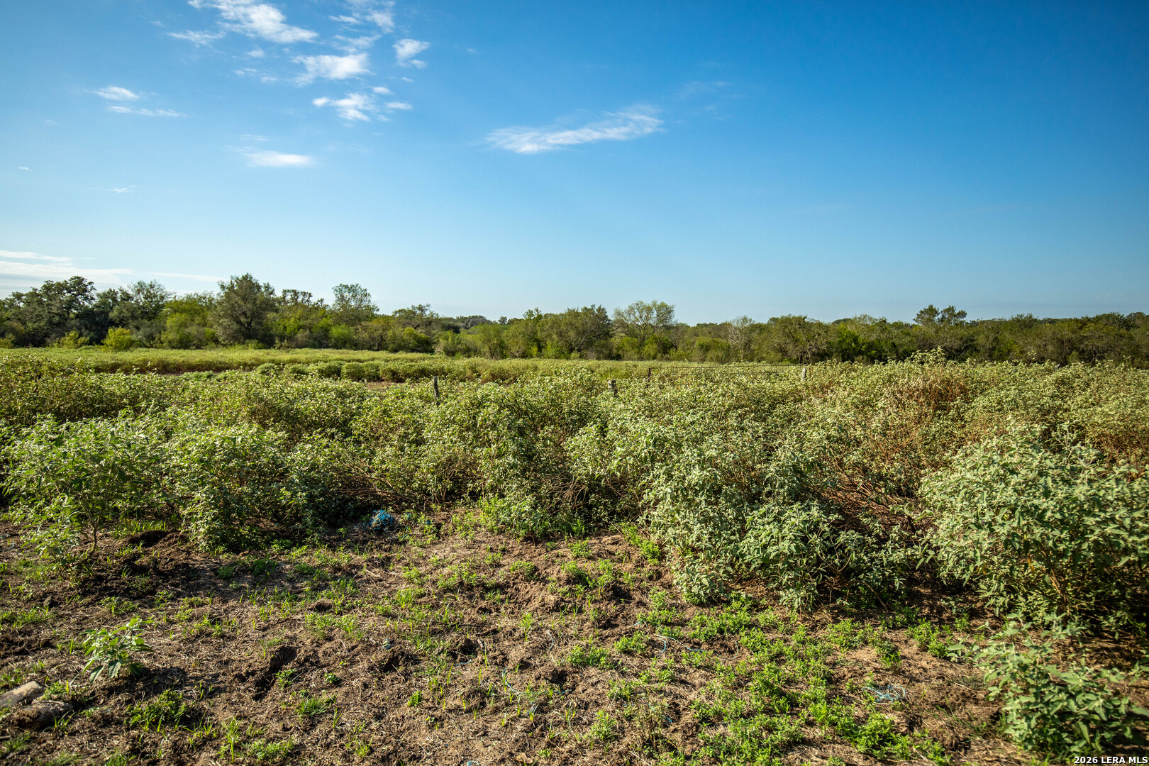 main property photo 11