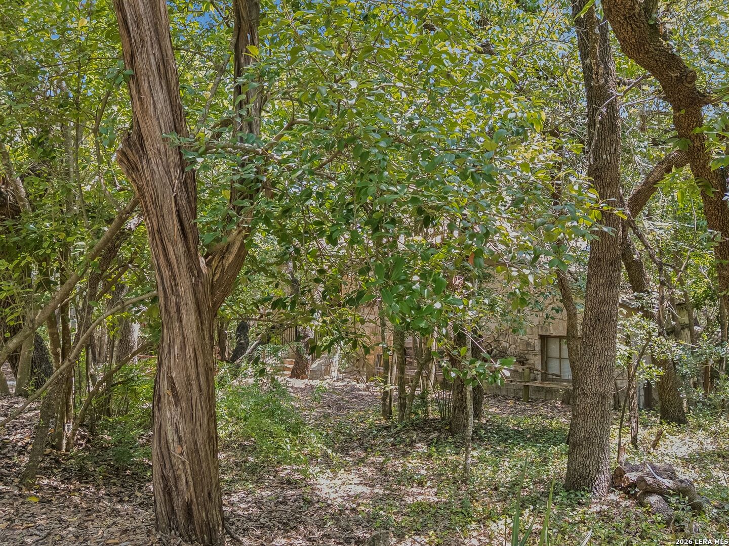 main property photo 50