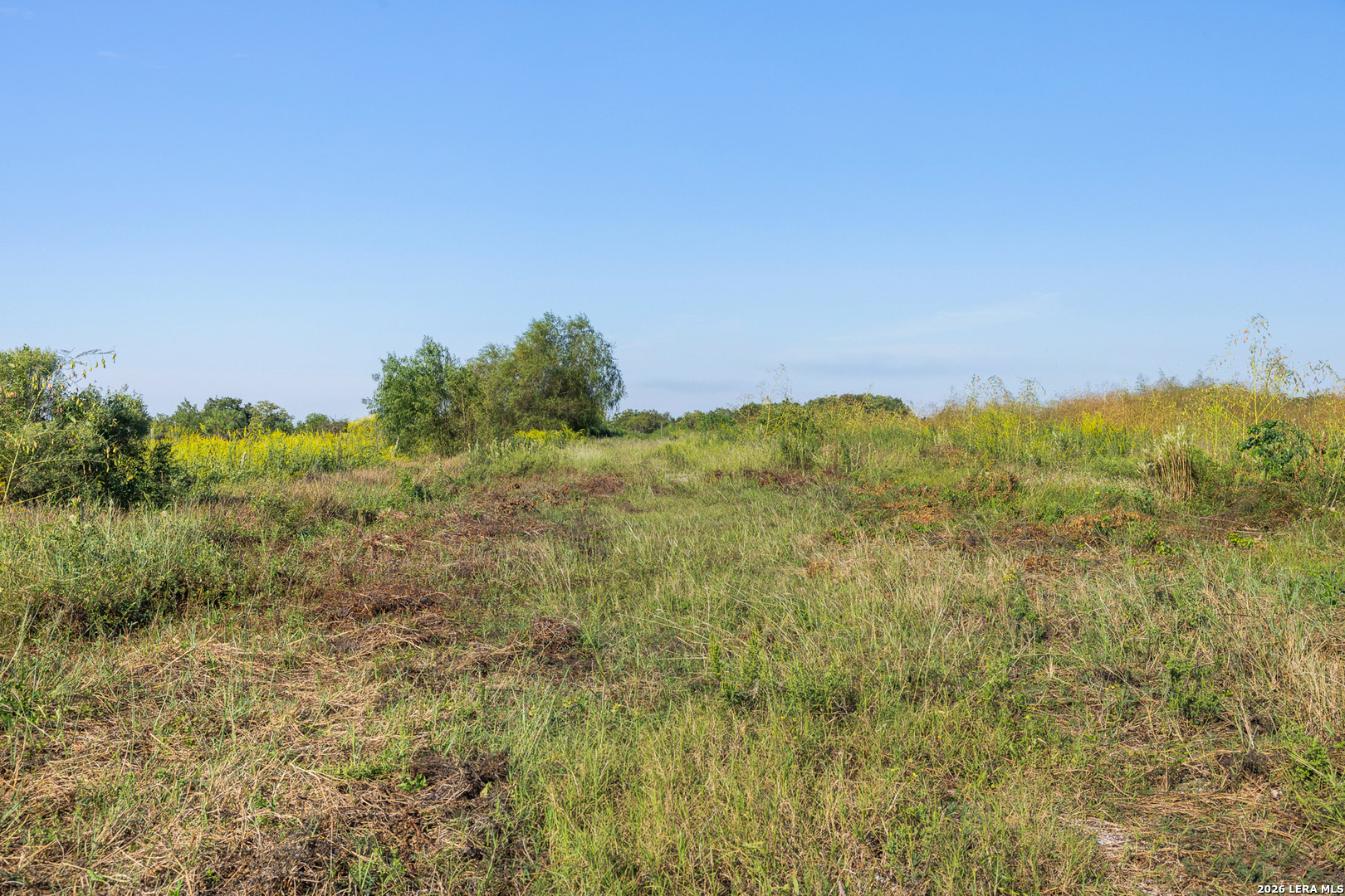 main property photo 12