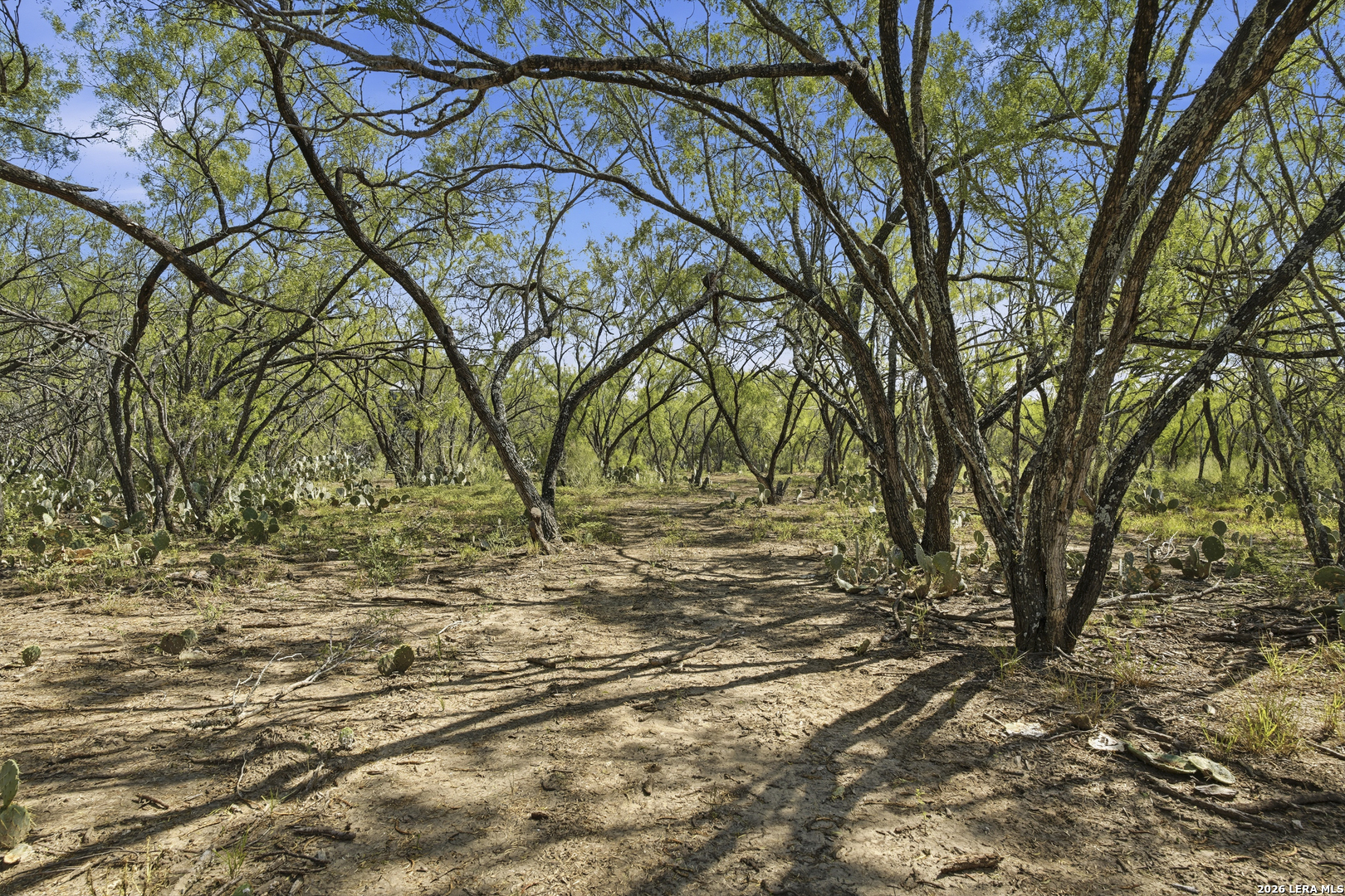 main property photo 28