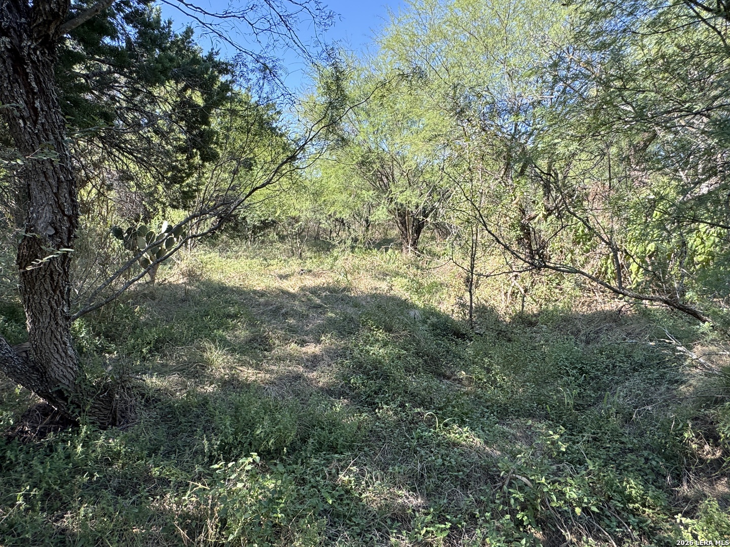 main property photo 11