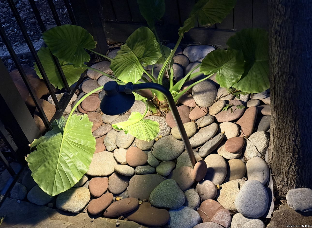 main property photo 50
