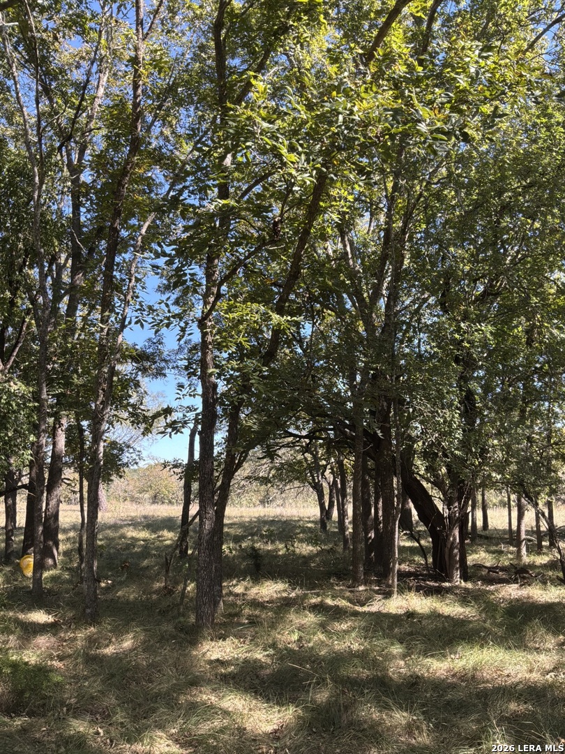 main property photo 20