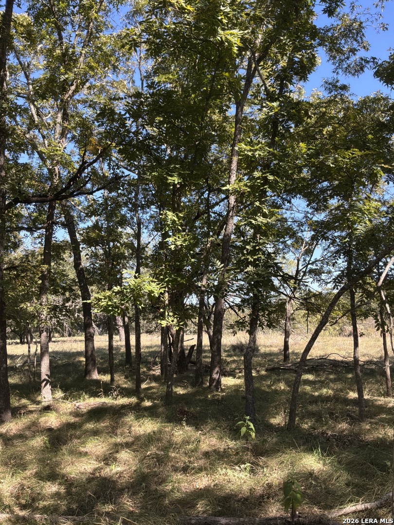 main property photo 21