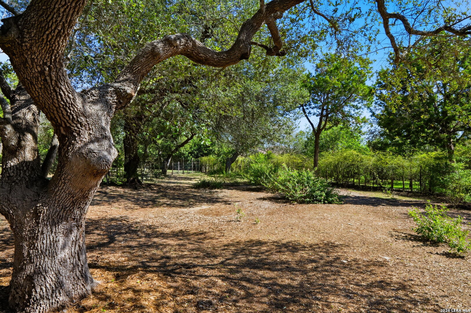 main property photo 53
