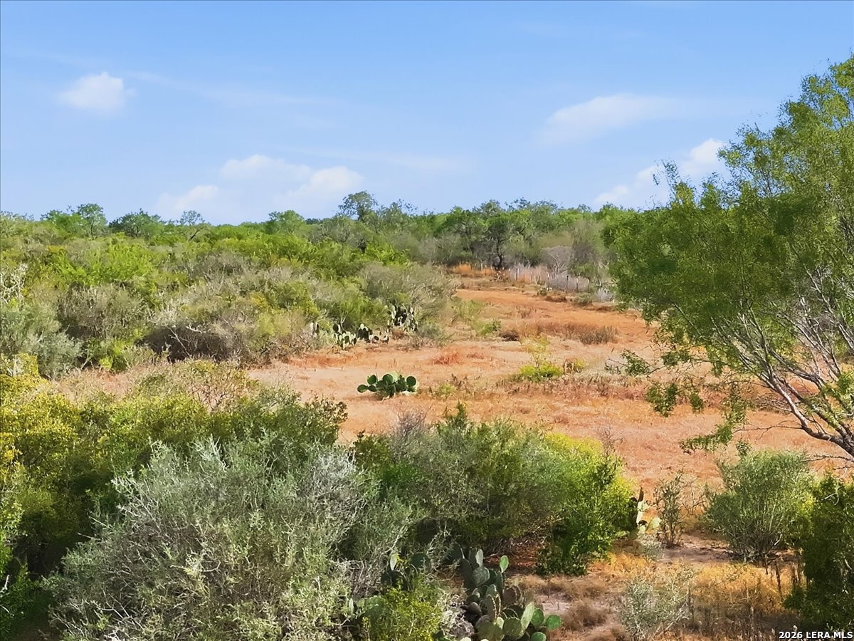 main property photo 11