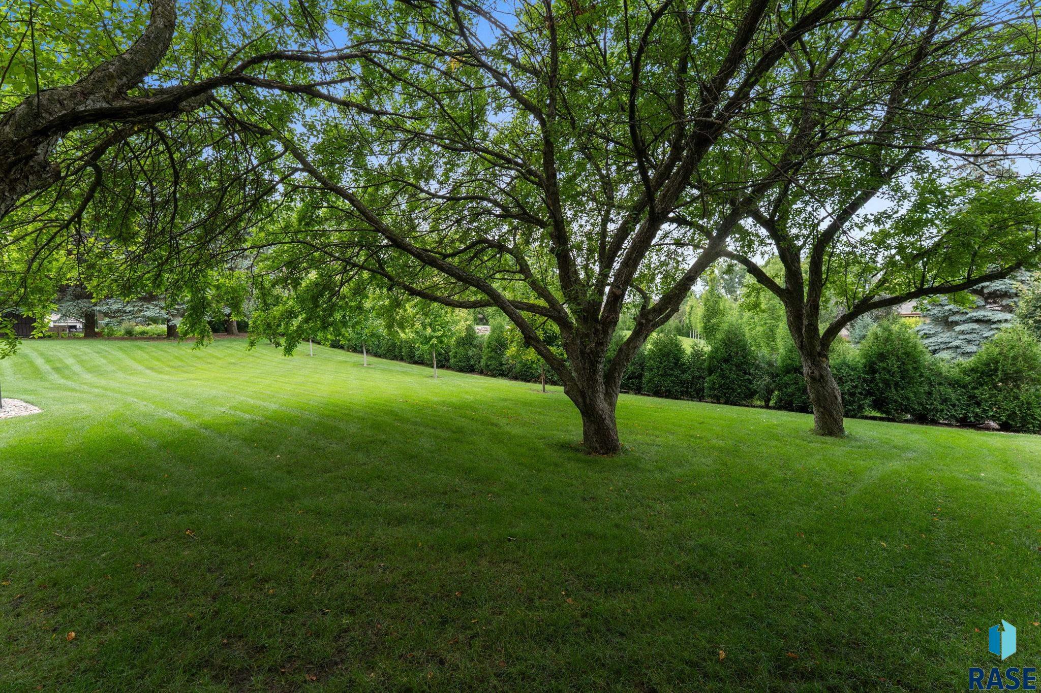 property viewer photo 3