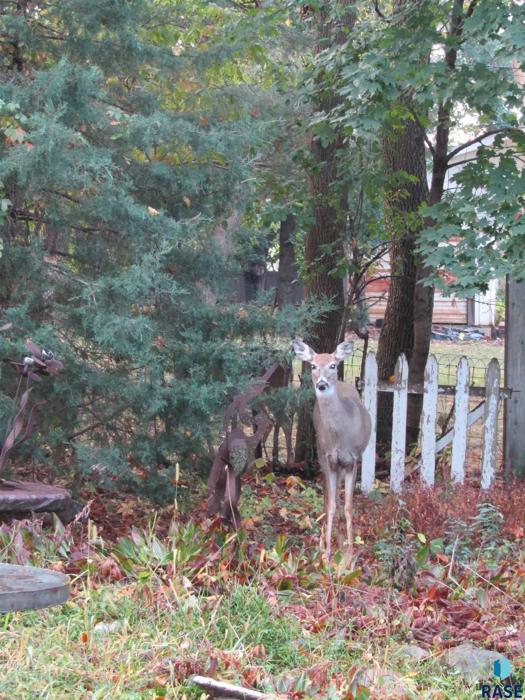 property viewer photo 10