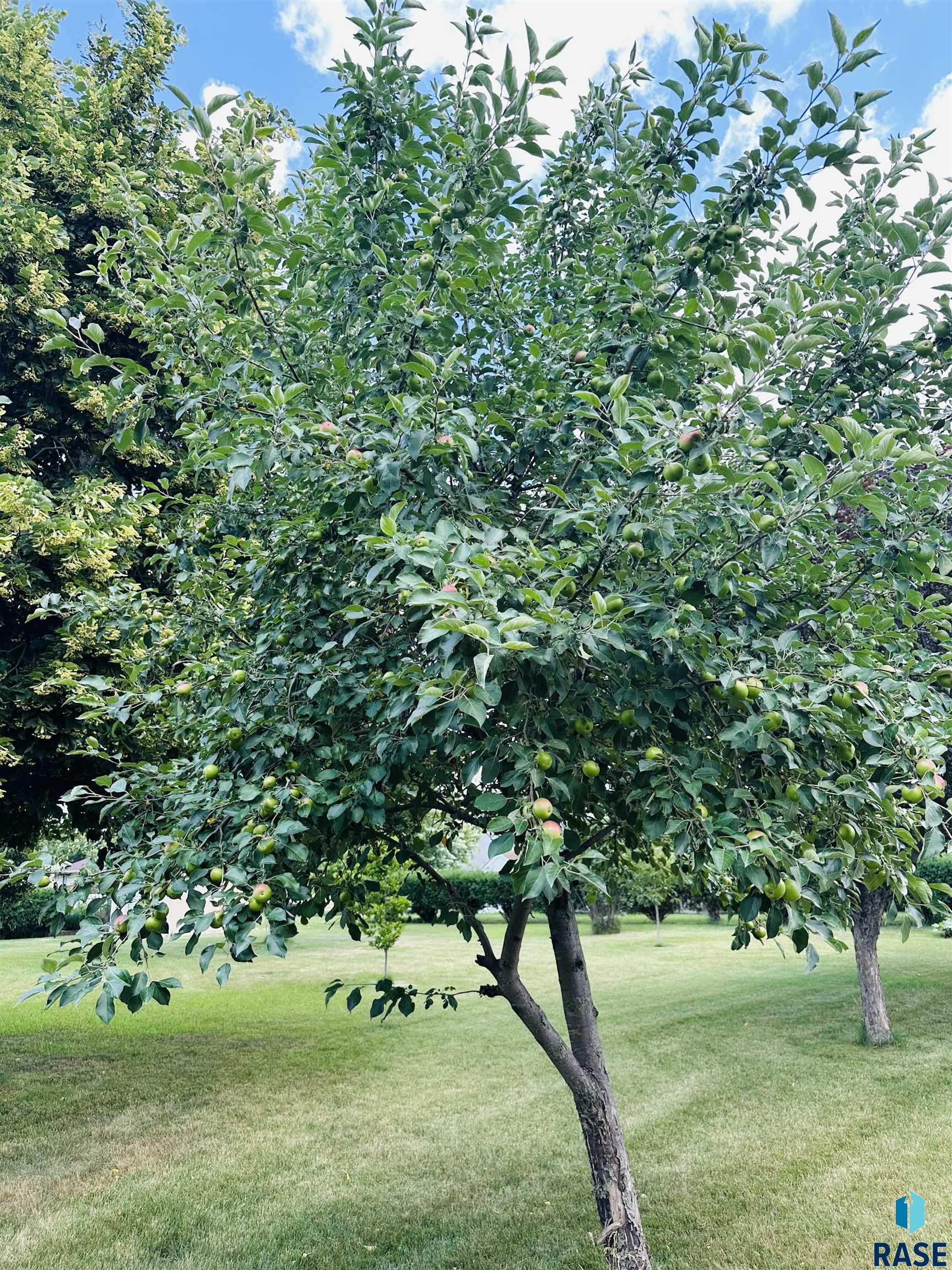 main property photo 40