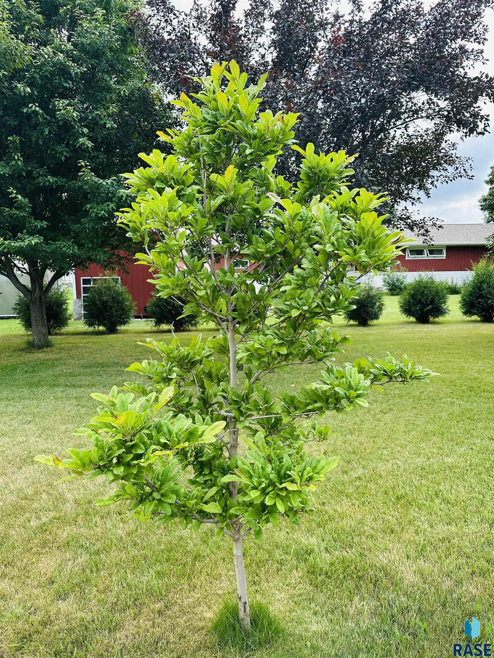 main property photo 44