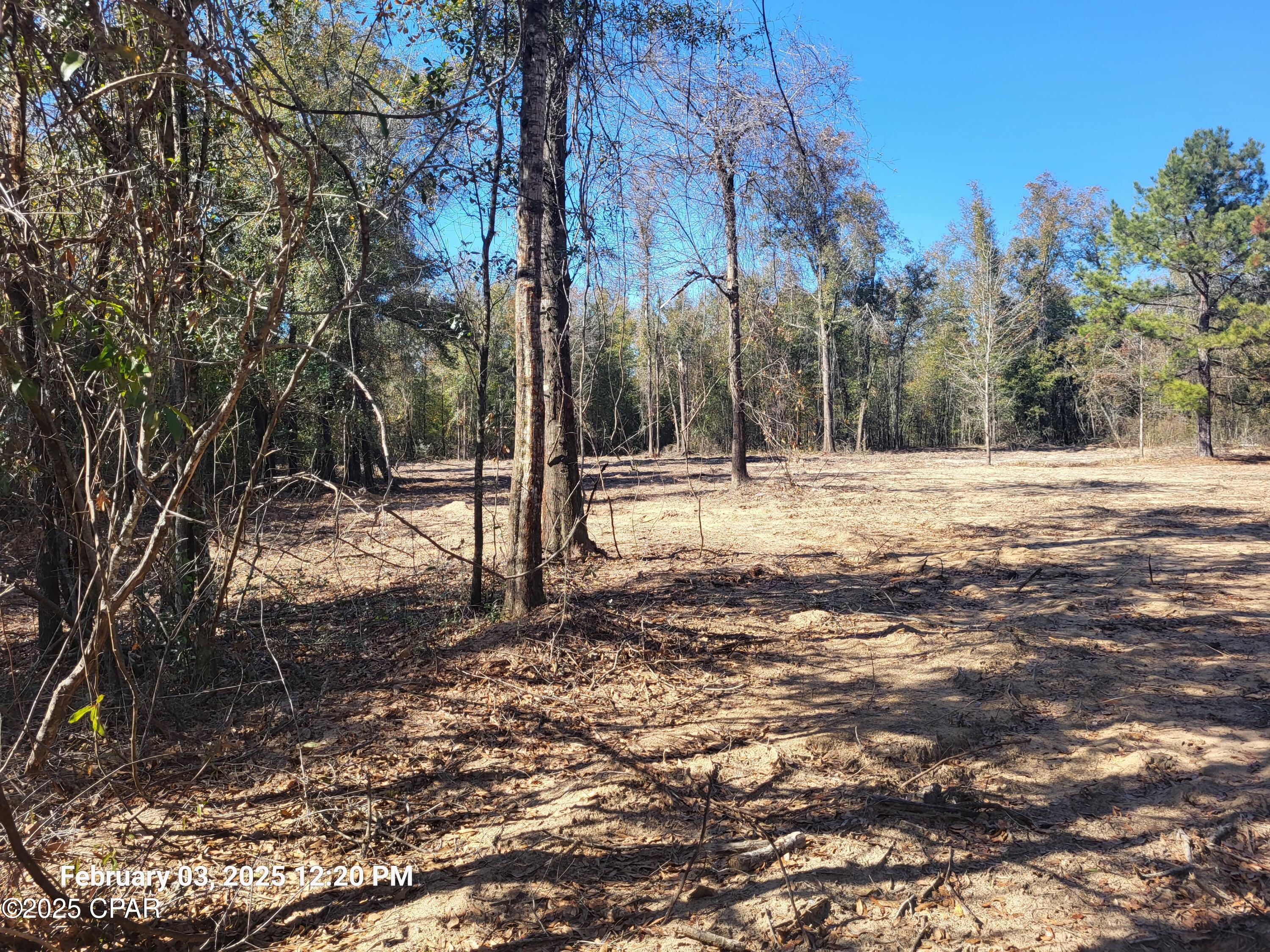 main property photo 10