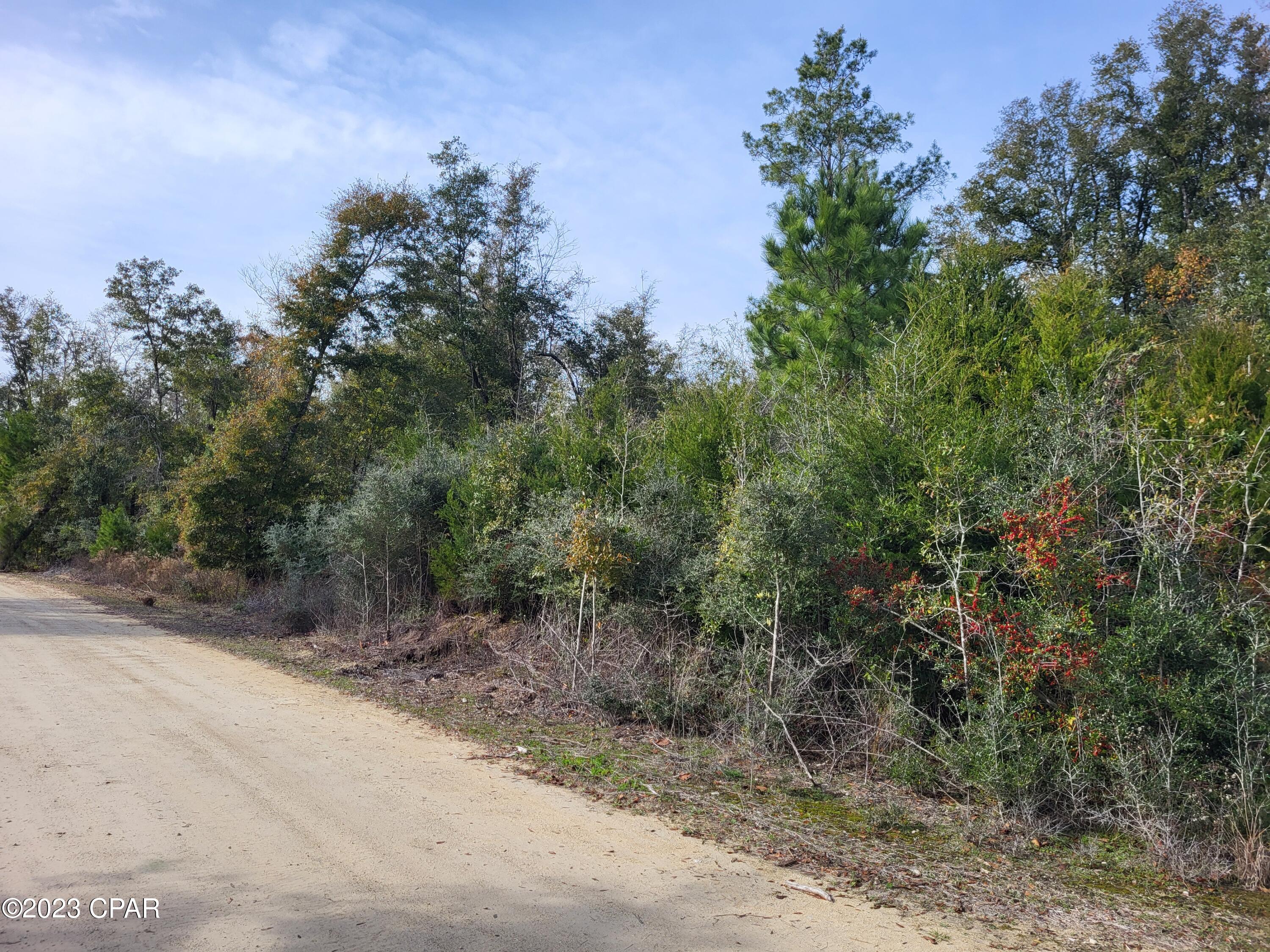 main property photo 15