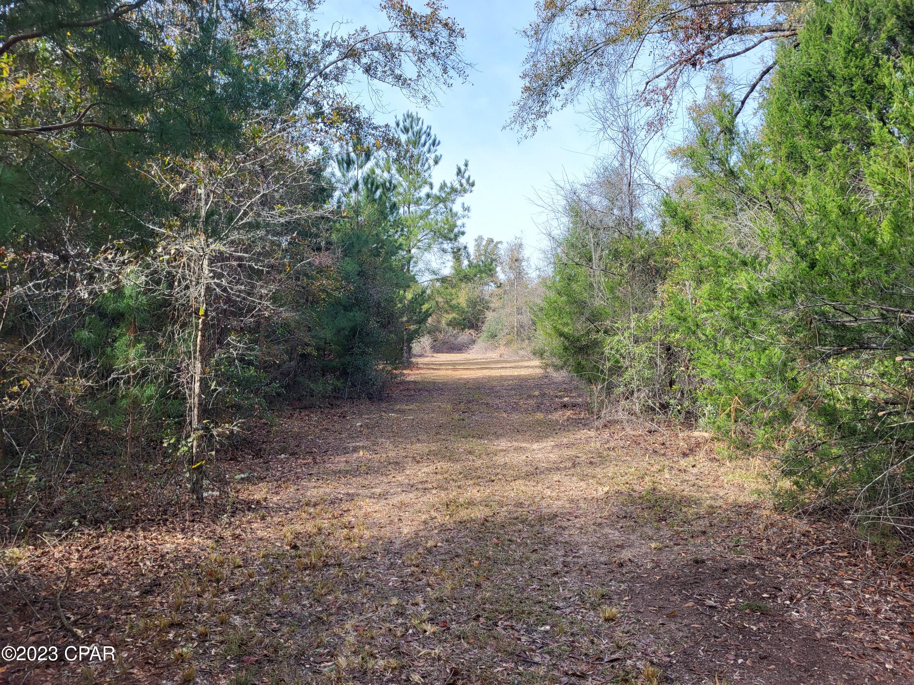 main property photo 18