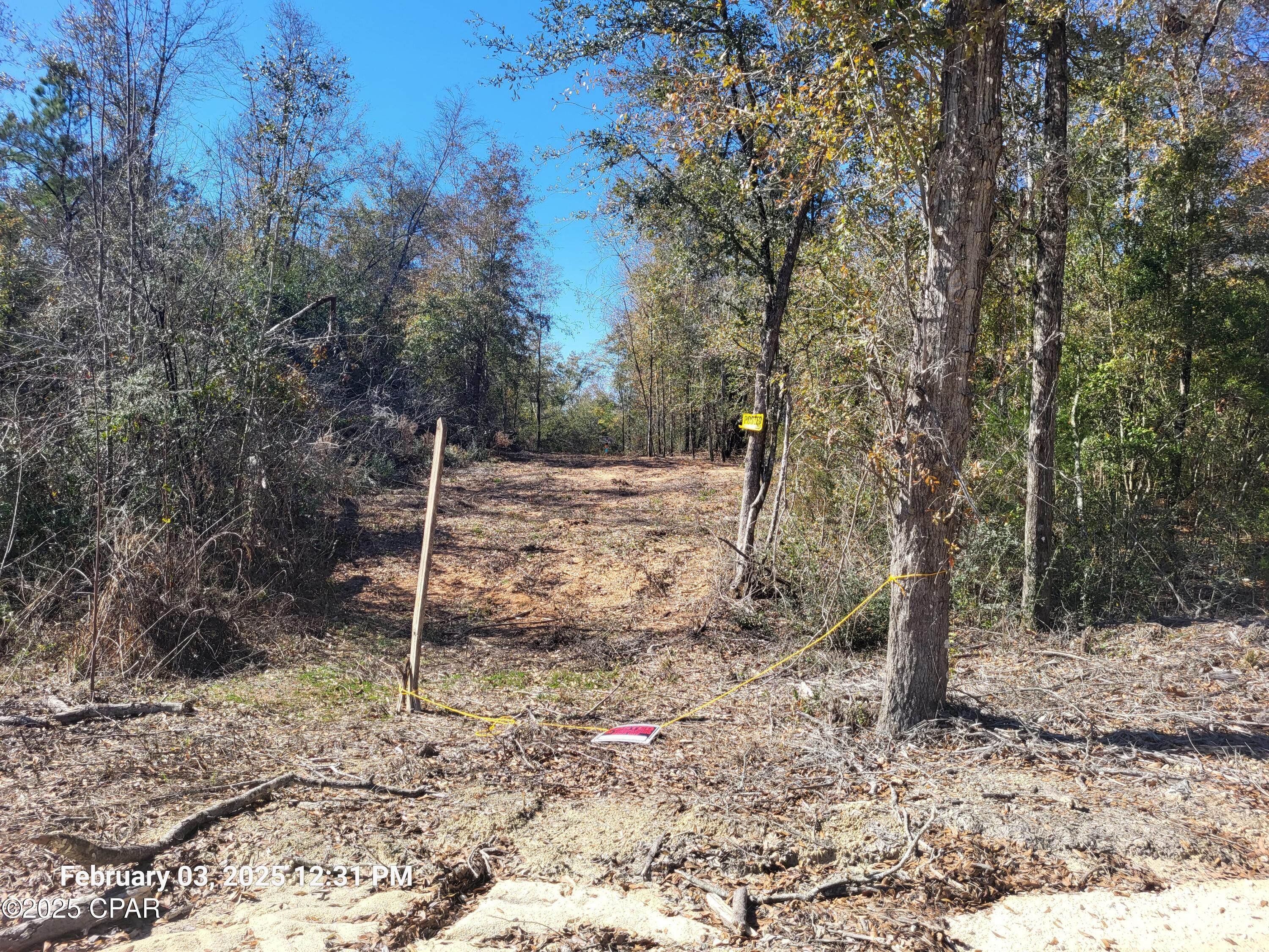 main property photo 10