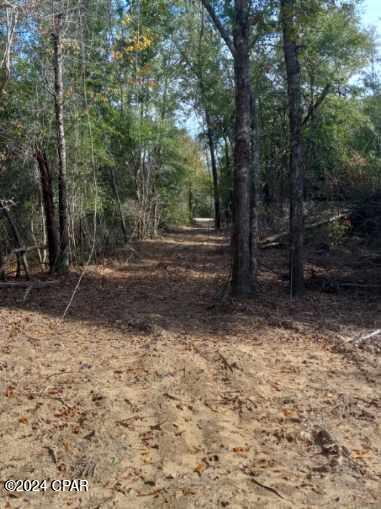 main property photo 21