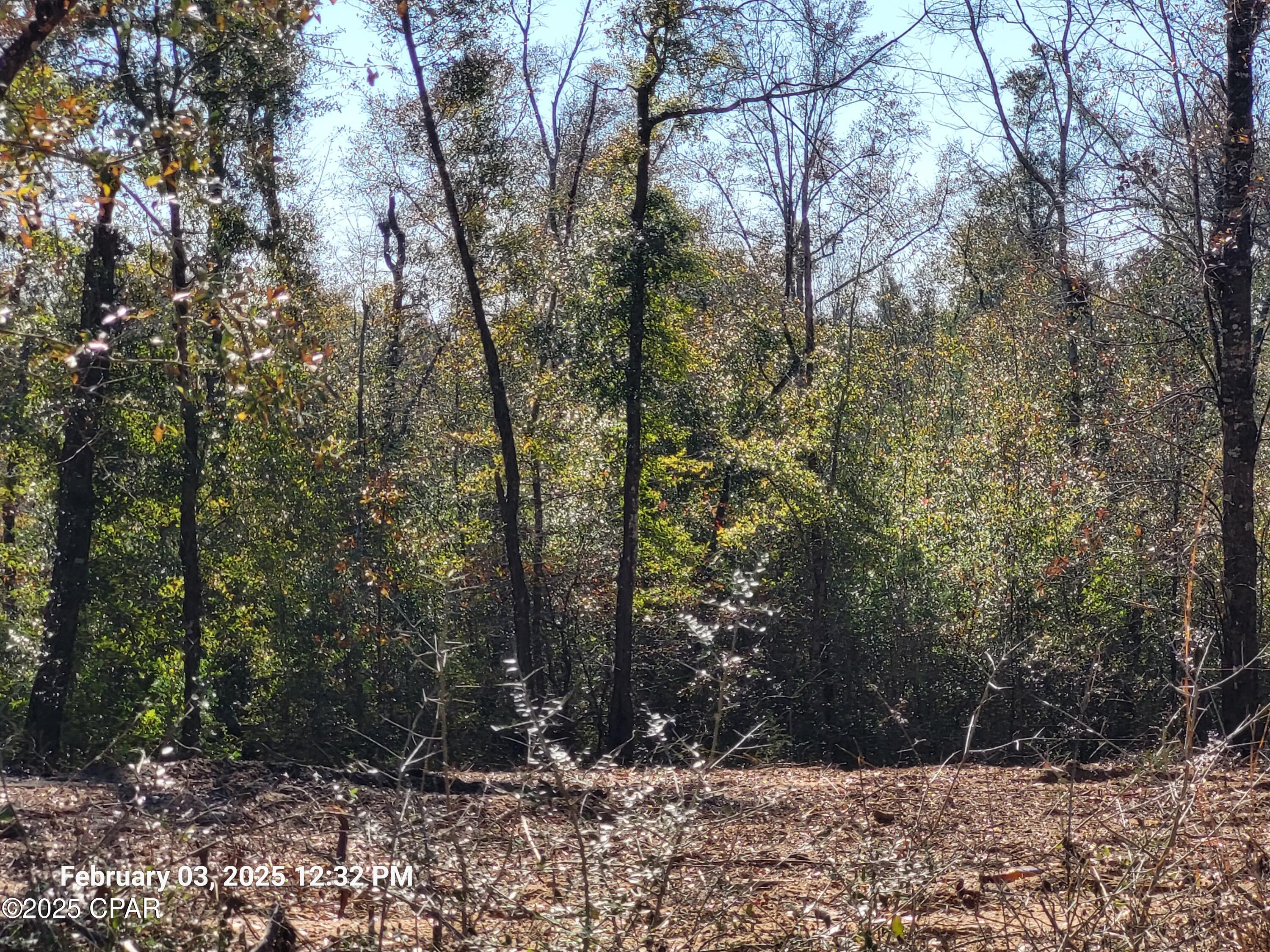 main property photo 10