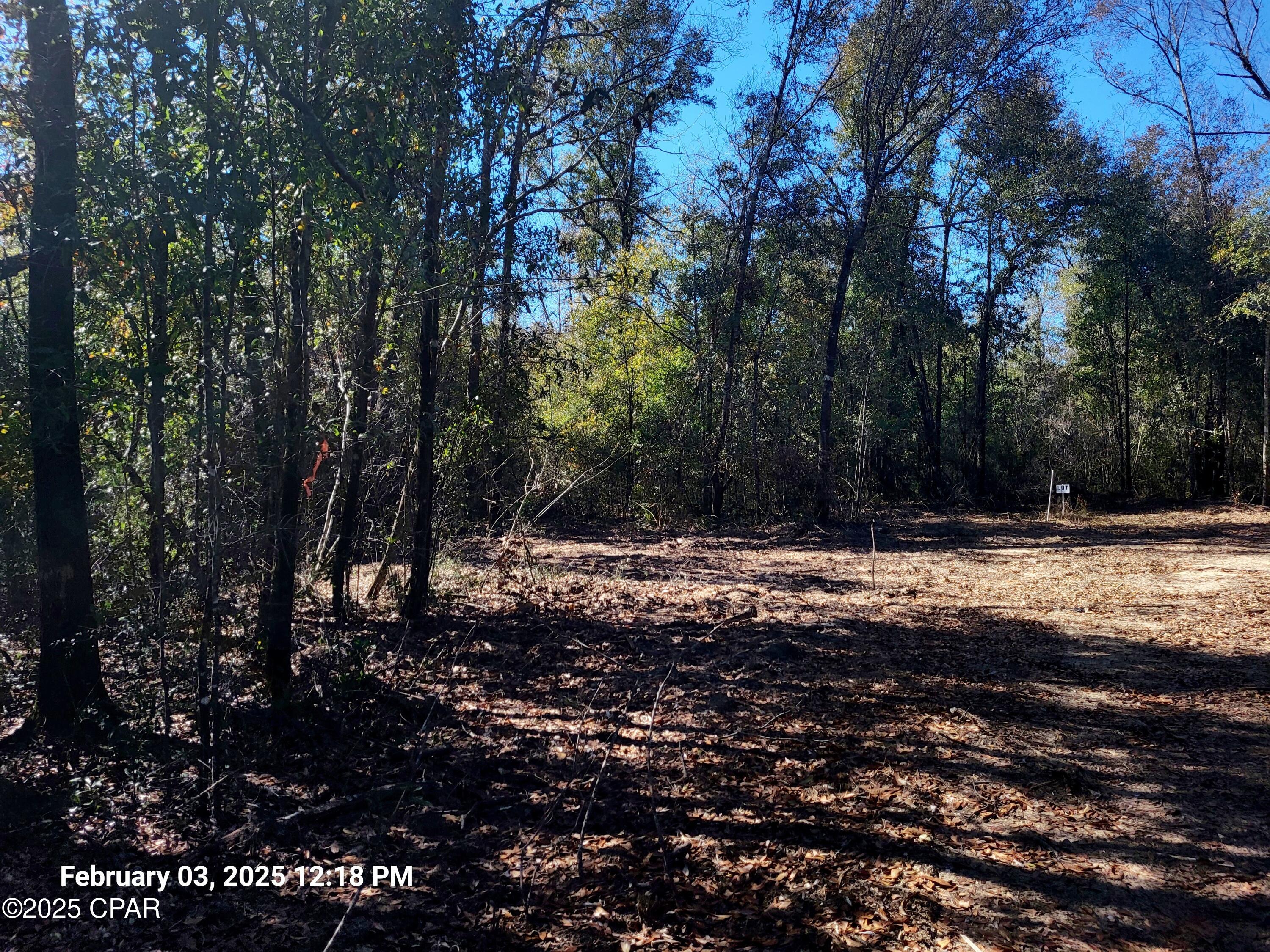 main property photo 12
