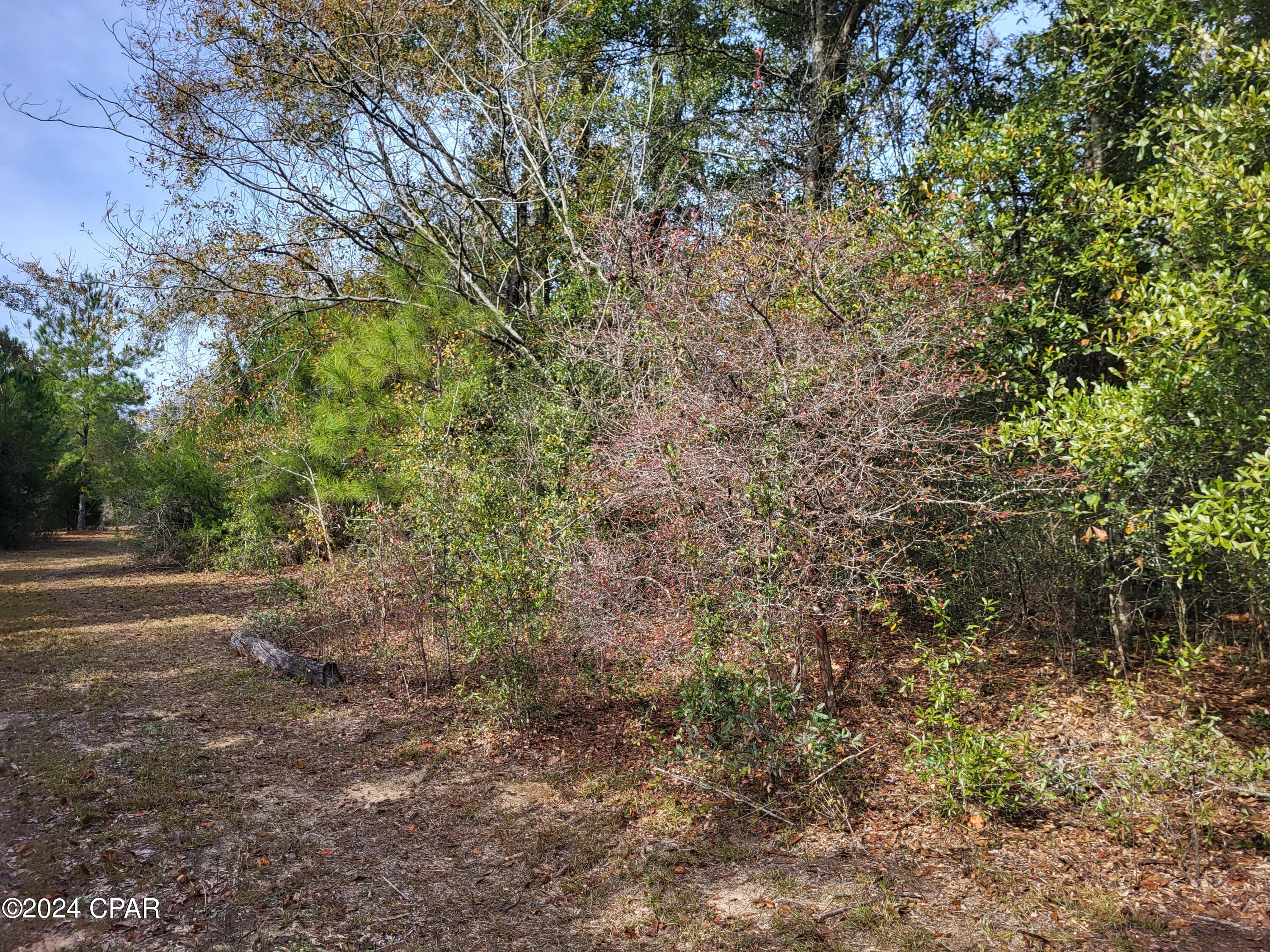 main property photo 16