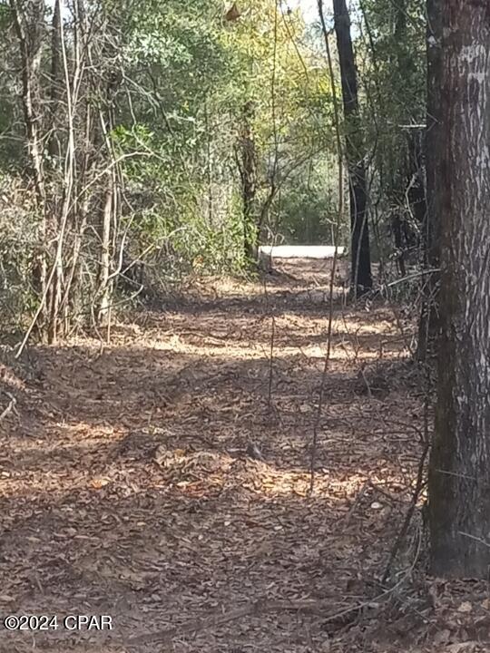 main property photo 20