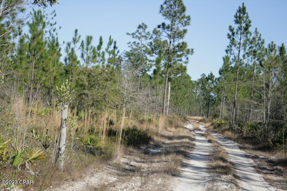 main property photo 22