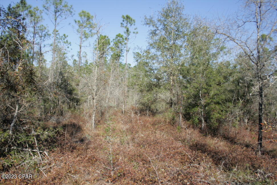 main property photo 27