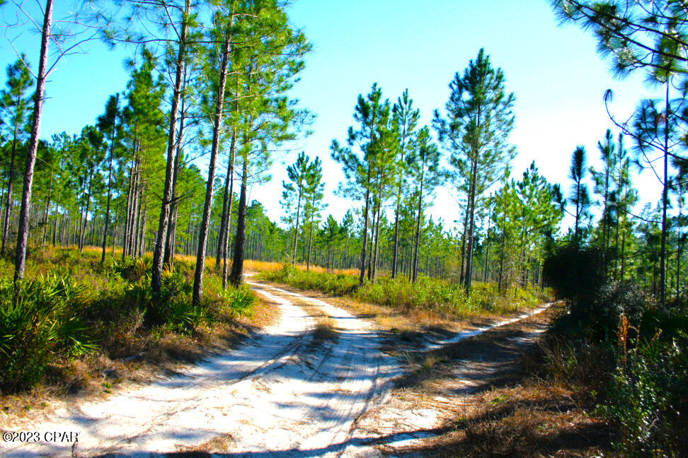main property photo 16