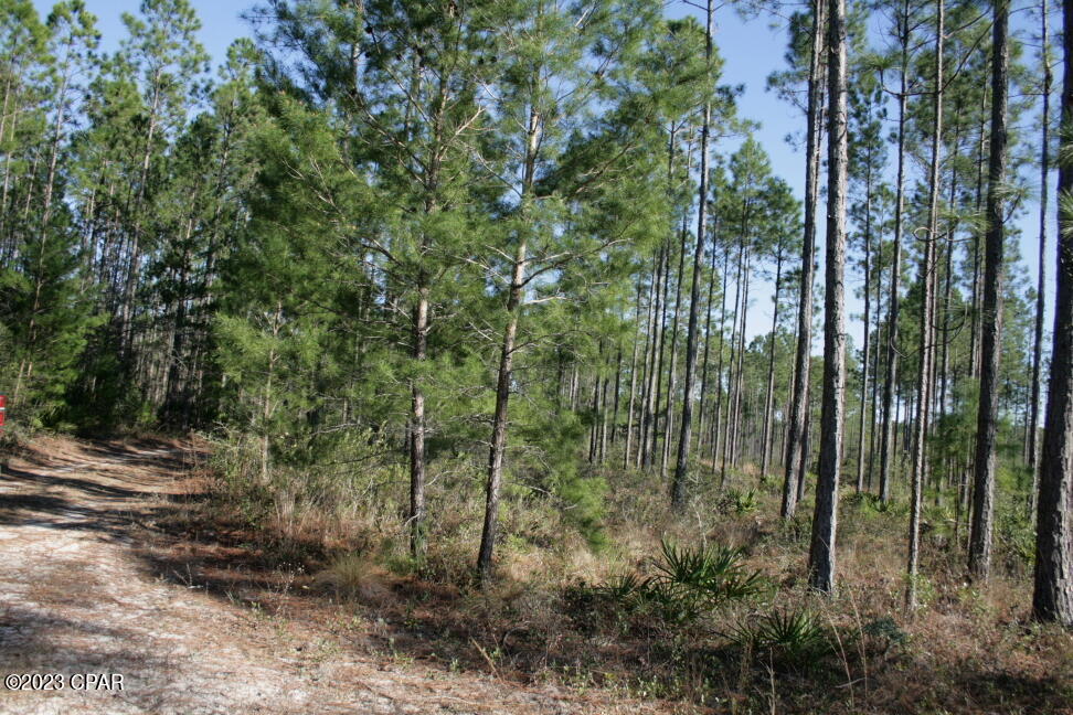 main property photo 23