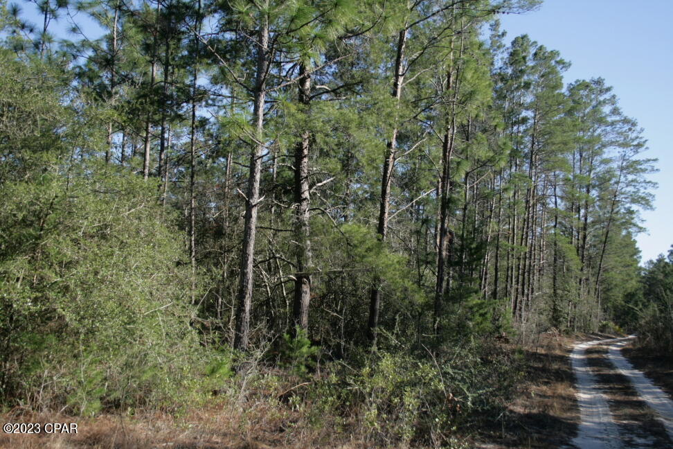 main property photo 26